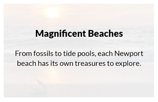 explore newport beaches