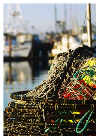 explore newport fishing and crabbing